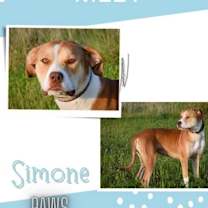 Thumbnail photo of Simone #1