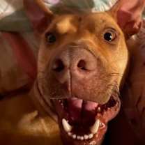 Thumbnail photo of Rue #1