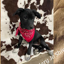 Thumbnail photo of Mary Jo #1