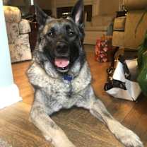 Thumbnail photo of Axel #3