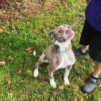 Thumbnail photo of Rooty (Rootbeer) #1