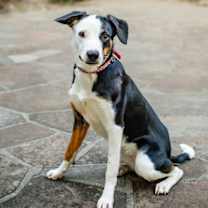 Thumbnail photo of Gail #4