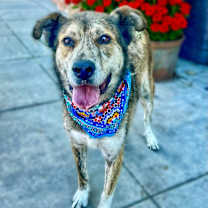 Thumbnail photo of Cash #1