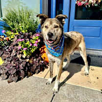 Thumbnail photo of Cash #2