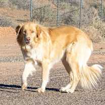Thumbnail photo of Sandy #2