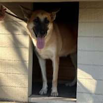 Thumbnail photo of Patty #3