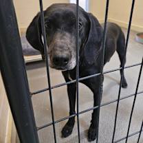 Thumbnail photo of Jubilee #4