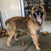 Thumbnail photo of Maya #1