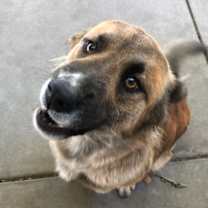 Thumbnail photo of Maya #2