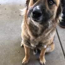 Thumbnail photo of Maya #3