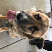 Thumbnail photo of Maya #4