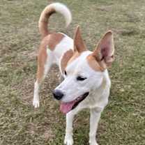 Thumbnail photo of Lucky #2