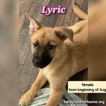 Thumbnail photo of Lyric #1