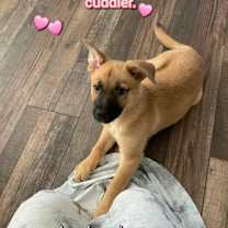 Thumbnail photo of Lyric #2