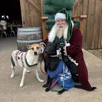 Thumbnail photo of Aston (Roadsters litter) #2