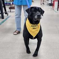 Thumbnail photo of Burger #2