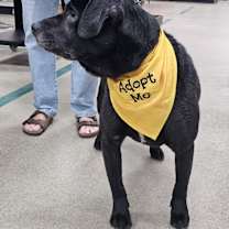 Thumbnail photo of Burger #3