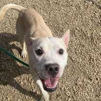 Thumbnail photo of Luke #1