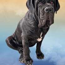 Thumbnail photo of Gianna #1