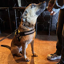 Thumbnail photo of Maggie #4