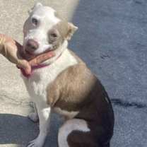 Thumbnail photo of Gladys #1