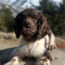 Thumbnail photo of Jesse #2