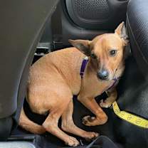 Thumbnail photo of Max Jr DD #3