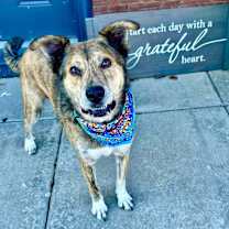 Thumbnail photo of Cash #3