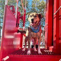 Thumbnail photo of Cash #4