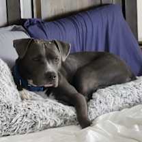 Thumbnail photo of SASHA-SKY #3