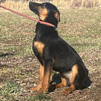 Thumbnail photo of Anya #1