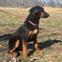 Thumbnail photo of Anya #2