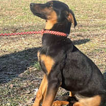 Thumbnail photo of Anya #3