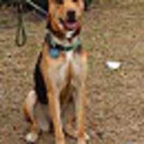 Thumbnail photo of Reba #1