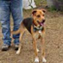 Thumbnail photo of Reba #3