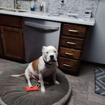 Thumbnail photo of Clayton #2