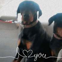 Thumbnail photo of Bradley #4