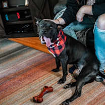 Thumbnail photo of Rosemary #4