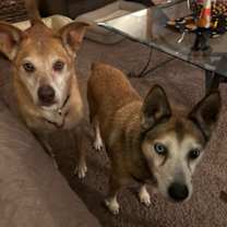 Thumbnail photo of Zach #3