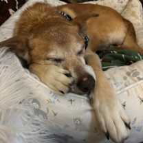 Thumbnail photo of Zach #2