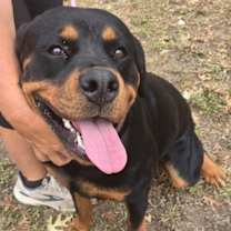 Thumbnail photo of Ray #1