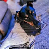 Thumbnail photo of Ace #1