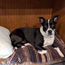Thumbnail photo of Claudia #4
