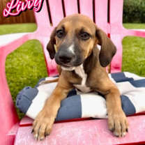 Thumbnail photo of Livvy #2