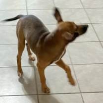 Thumbnail photo of Livvy #3