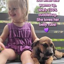 Thumbnail photo of Livvy #4