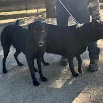 Thumbnail photo of GRACE & KATIE #2