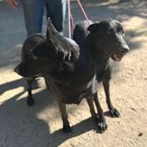 Thumbnail photo of GRACE & KATIE #1