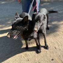 Thumbnail photo of GRACE & KATIE #2