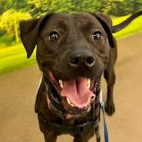 Thumbnail photo of Patsy Cline #4